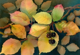 Blackberries, Elizabeth Cox