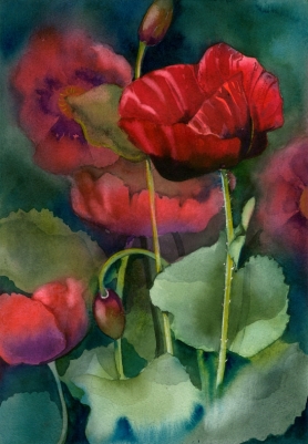 Red Poppies, Elizabeth Cox